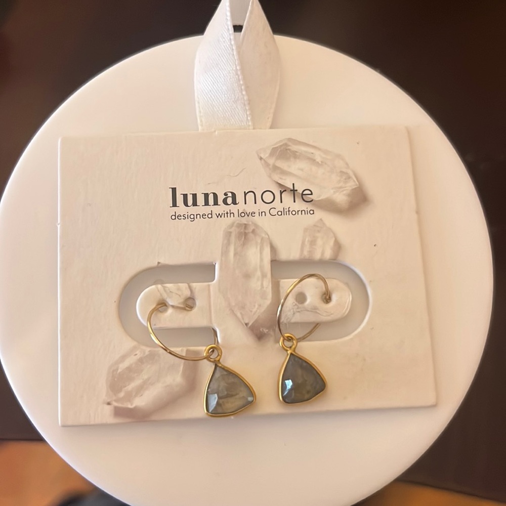 NWT Luna Note Earrings